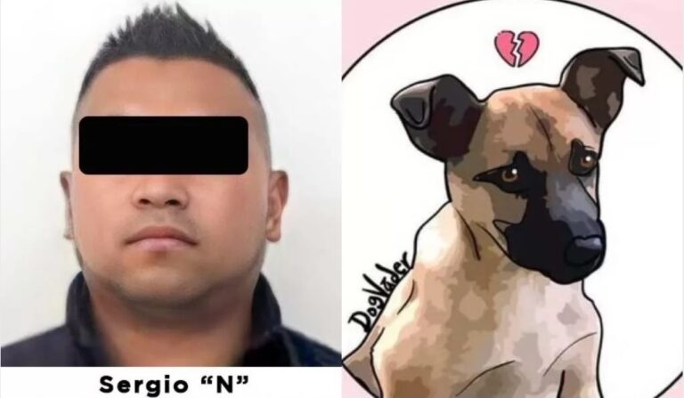 Vinculan a proceso a Sergio ‘N’ por muerte de perrito ‘Scooby’ en Tecámac
