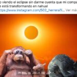 Eclipse-solar-2024-deja-los-mejores-memes-en-redes-sociales-7.png