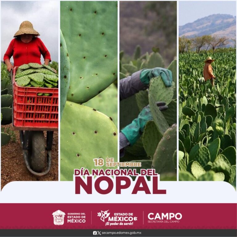 Celebramos hoy al nopal, un alimento de los dioses