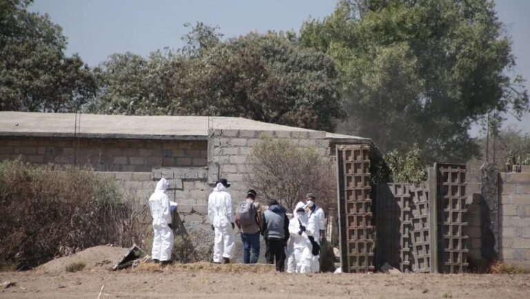 Edomex epicentro forense en el país; hasta 11 mil cadáveres hallados en 2024
