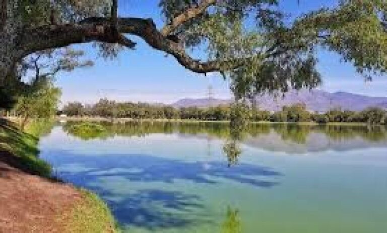 Preparan plan integral para recuperar Laguna de Axotlán en Cuautitlán Izcalli