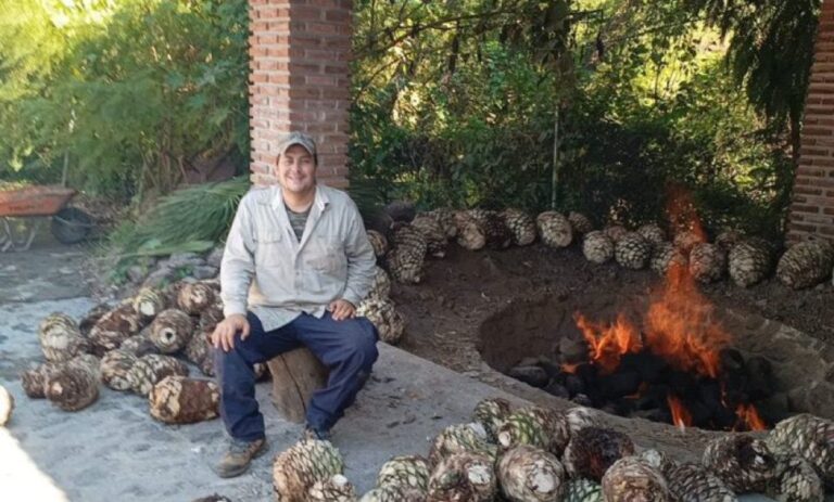 Reconocen agave mexiquense en Concurso Mundial de Bruselas