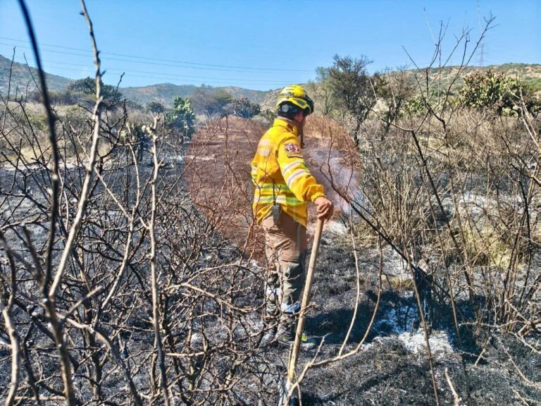 Sierra de Tepotzotlán registra el primer incendio de la temporada