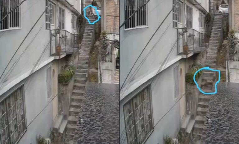 Avientan a perro desde escaleras en Naucalpan; exigen castigo