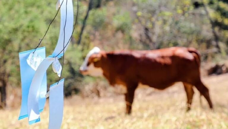 Despliegan 20 brigadas veterinarias para contener el gusano barrenador en Edomex
