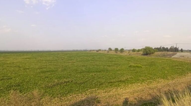 Inician obras de rehabilitación en la Laguna de Zumpango para reducir riesgos de inundación