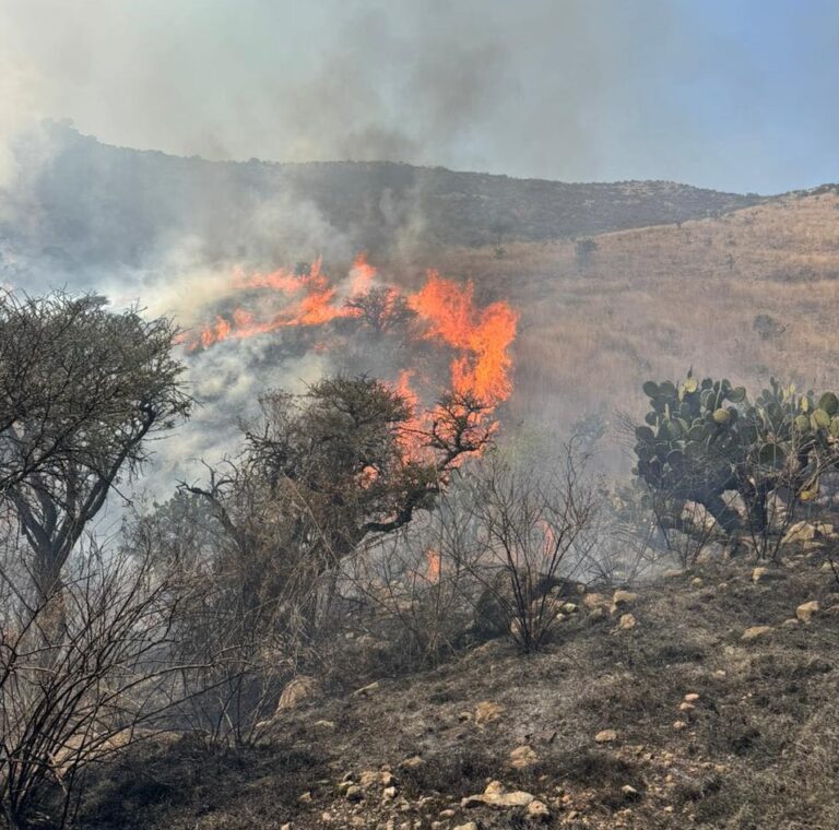 Bomberos y vecinos de Tepotzotlán y personal del ejército mexicano buscan combatir incendio en reserva ecológica