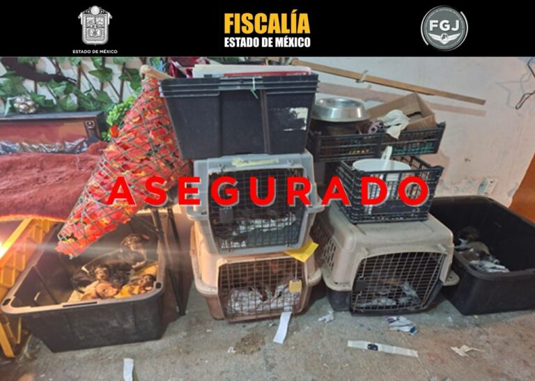 Fiscalía Edomex rescata a 102 animales del predio ubicado en el municipio de Tultepec