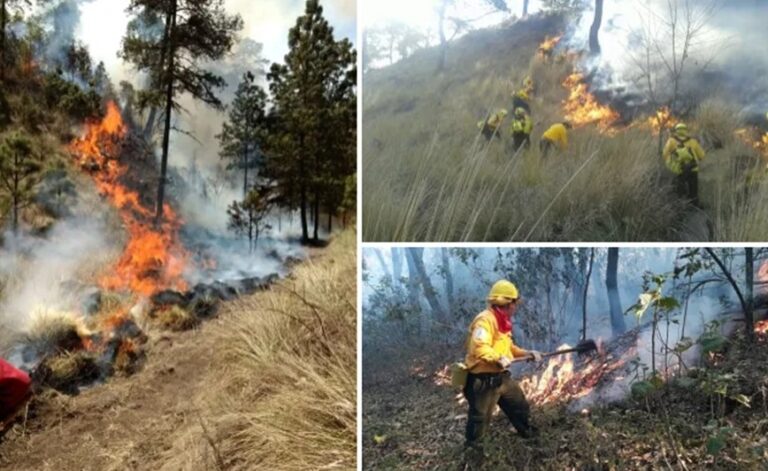 Activa Gobierno del Edomex operativo contra incendios forestales en Semana Santa; mantiene monitoreo en 100 puntos estratégicos