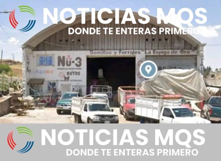 Alertan en Jilotepec muertes de ganado por presunto alimento contaminado