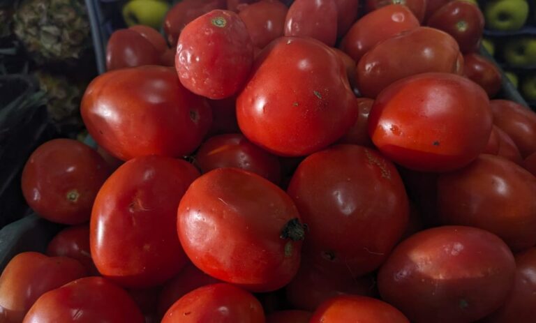 Aumenta 100% el jitomate en Huehuetoca se vende de 30 a 60 pesos por kilo