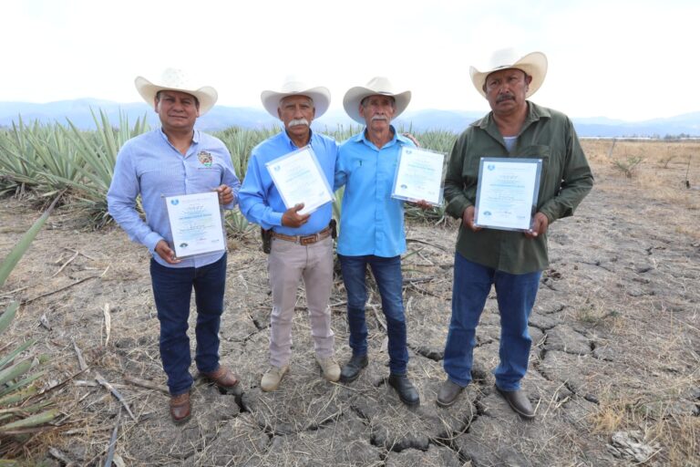 ¡Denominación de origen para cuatro mezcales mexiquenses! Gobierno del Edomex facilita la certificación de sus productos