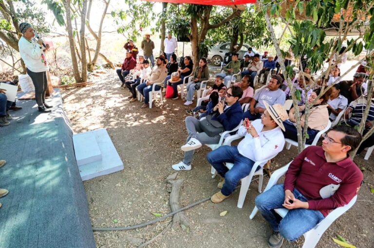 Sigue en alerta Edomex por Gusano Barrenador