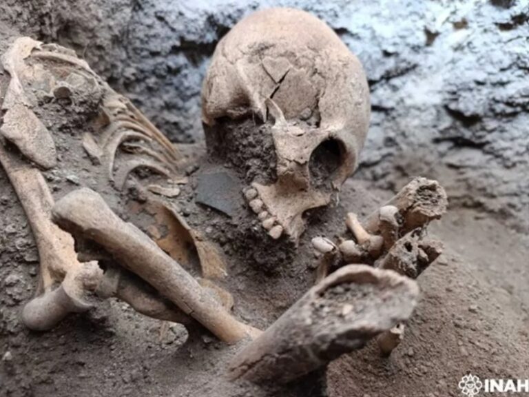 La periferia que nutrió al imperio: Hallazgo en Tula revela la red de suministro que construyó Teotihuacán