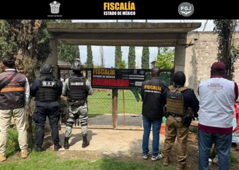 Aseguran diversos ejemplares de especies de fauna exótica en el Edomex