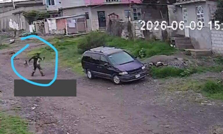 Buscan a hombre que golpeó a perro con martillo en Teoloyucan