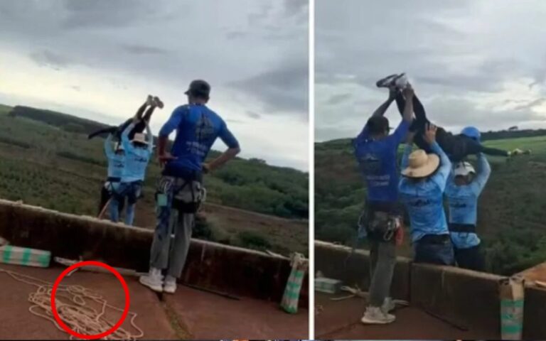 Mujer muere tras ser lanzada desde un puente; trabajadores no le colocaron la cuerda de seguridad