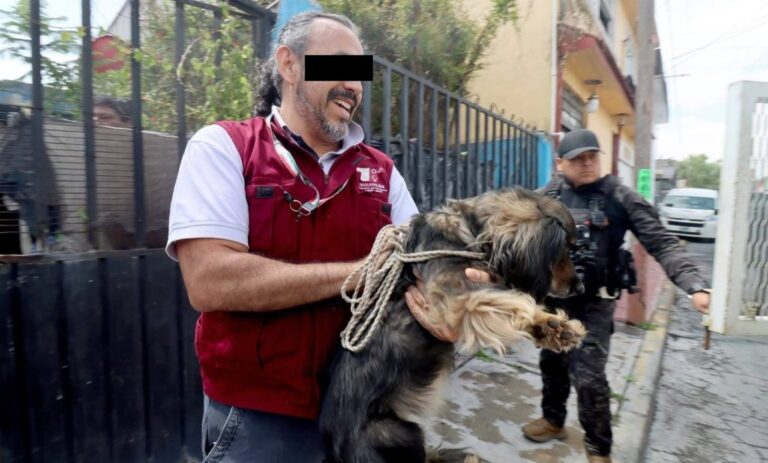 Acusan a funcionario de Tultitlán de electrocutar perros para matarlos