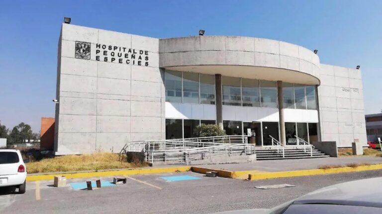 FES Cuautitlán apuesta por investigación mexicana para mejorar la salud de perros y gatos