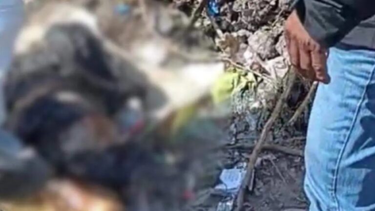 Hallan posibles restos humanos durante búsqueda de niña desaparecida en Canal de Nextlalpan