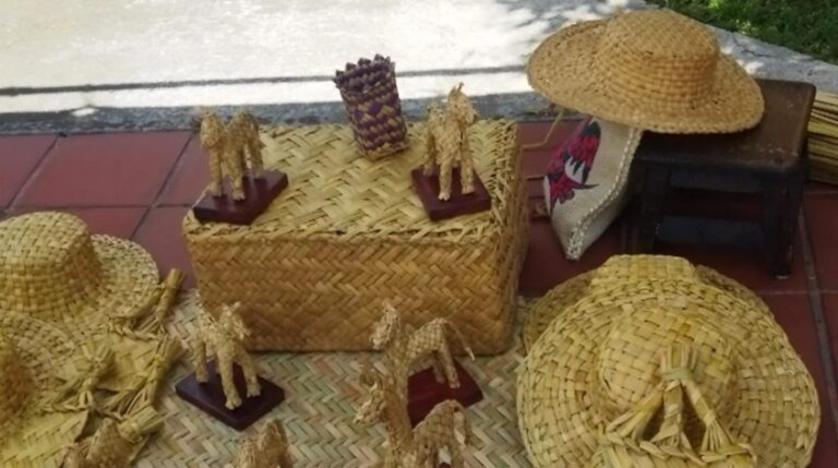 Tultepec enciende focos rojos, pocos artesanos del tule continúan la tradición