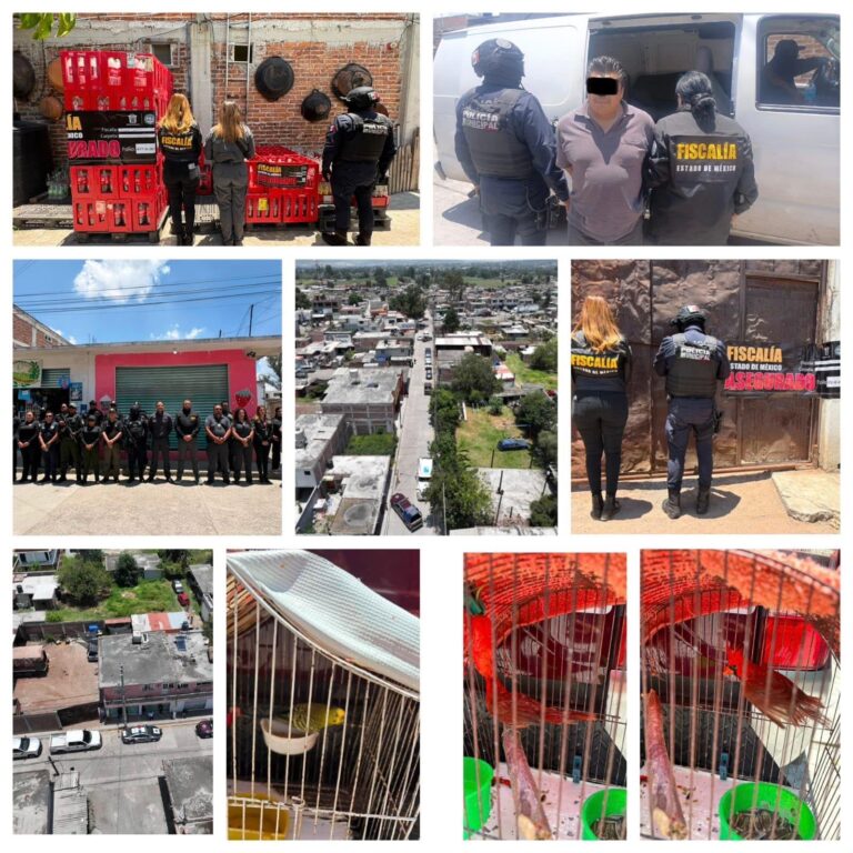 Cateo en Santa María Caliacac deja un detenido; aseguran aves y presuntos productos comercializados de forma irregular