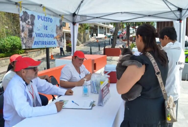 Edomex refuerza la prevención de la rabia en los 125 municipios