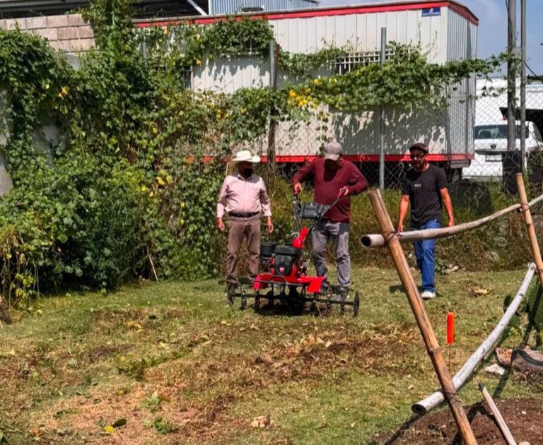 Se alista Teoloyucan para la siembra del cempasúchil