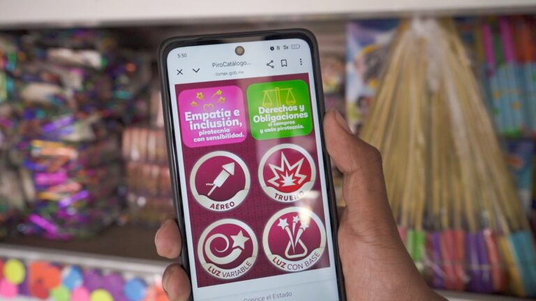Edomex emite lineamientos para pirotecnia pública y profesional