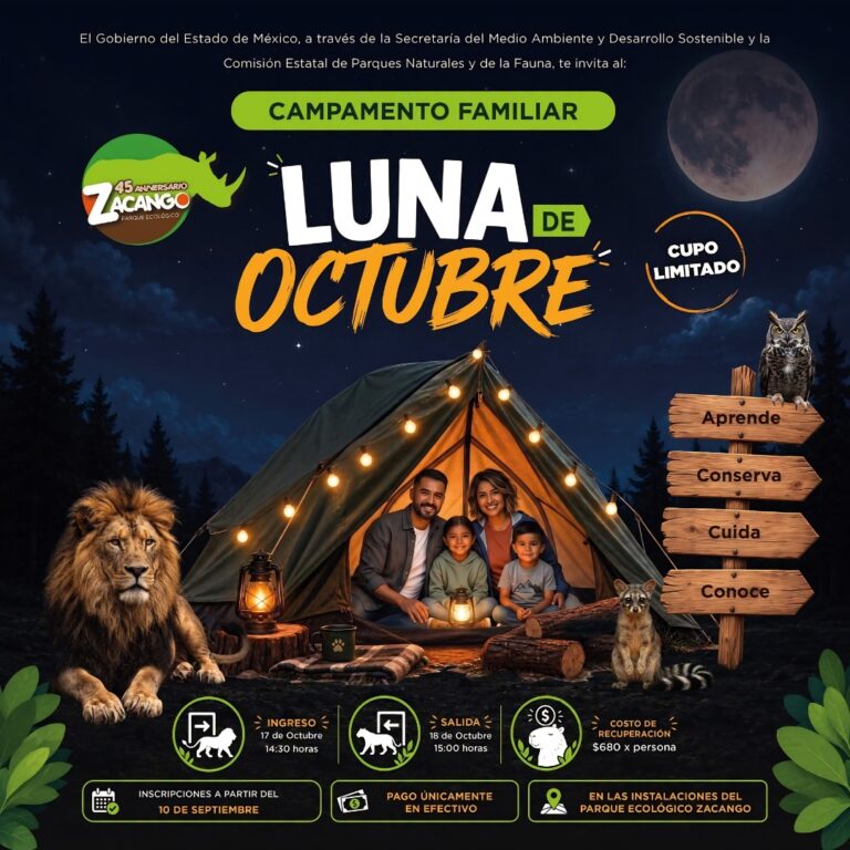 ¡Vive una noche de aventura en Zacango! acampa y aprende sobre la naturaleza y la vida silvestre