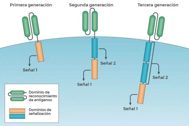 Autorizan en México primer ensayo clínico con terapia CAR-T nacional