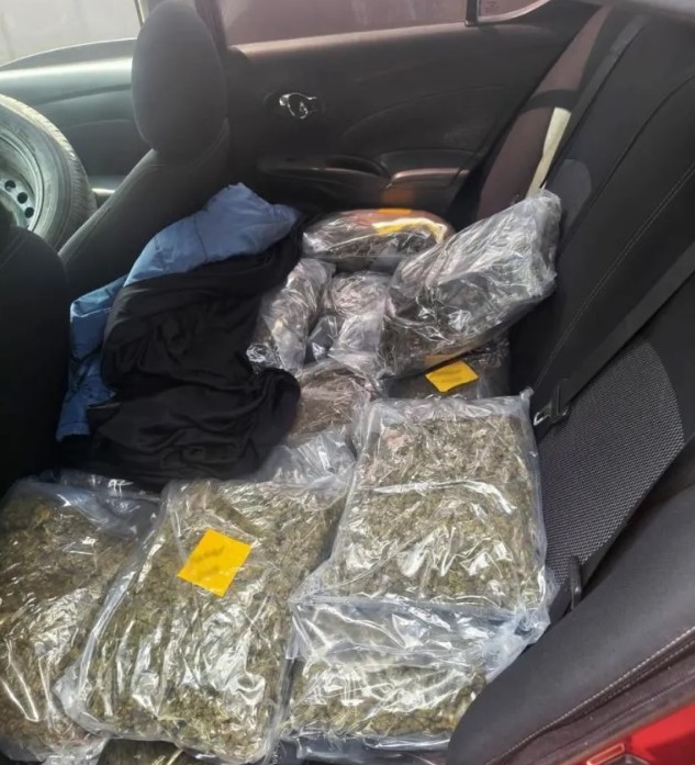 Perseguían un vehículo por exceso de velocidad y encontraron 81 kilos de marihuana; dos detenidos en Cuautitlán